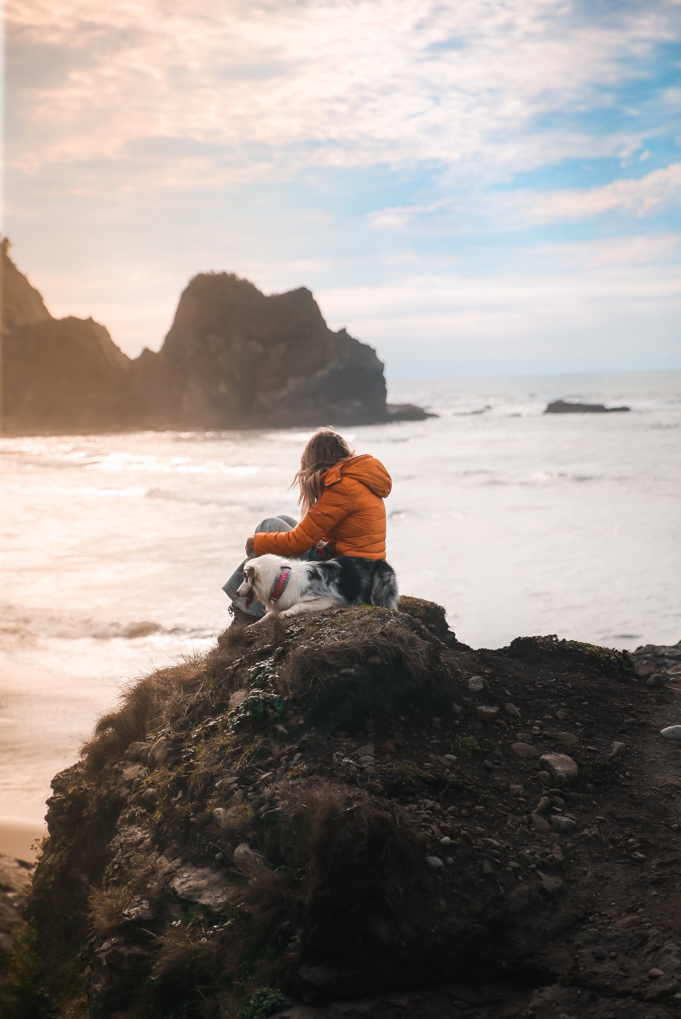 Person sitting with dog watching ocean sunset