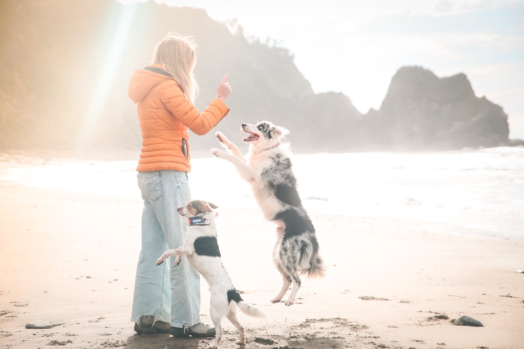 Playing in snow with dog catching snowflakes