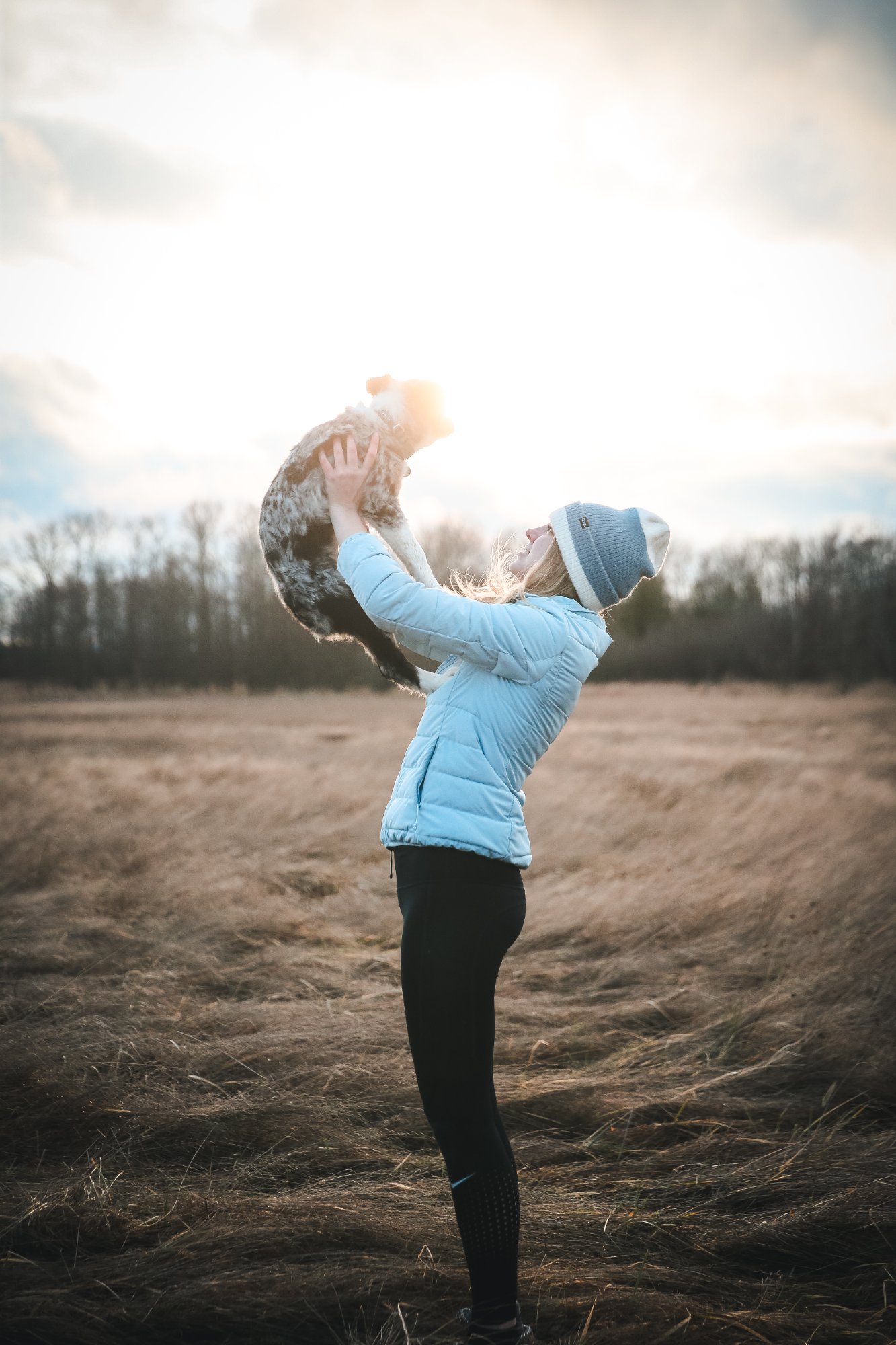 Puppy looking up at owner in field